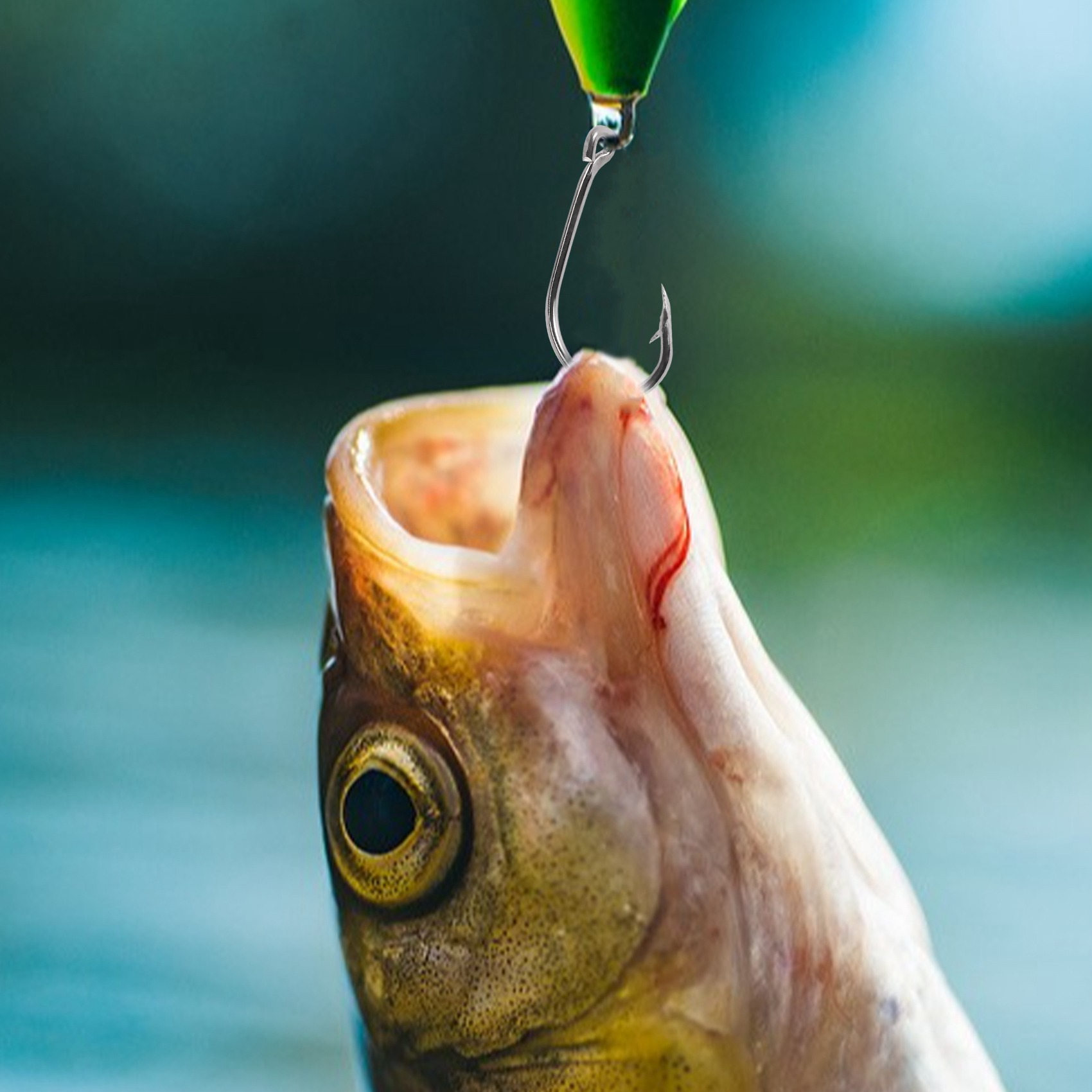 وصول جديد 500 قطعة/مجموعة بأحج - مراجعة Fishing Hook وسعره
