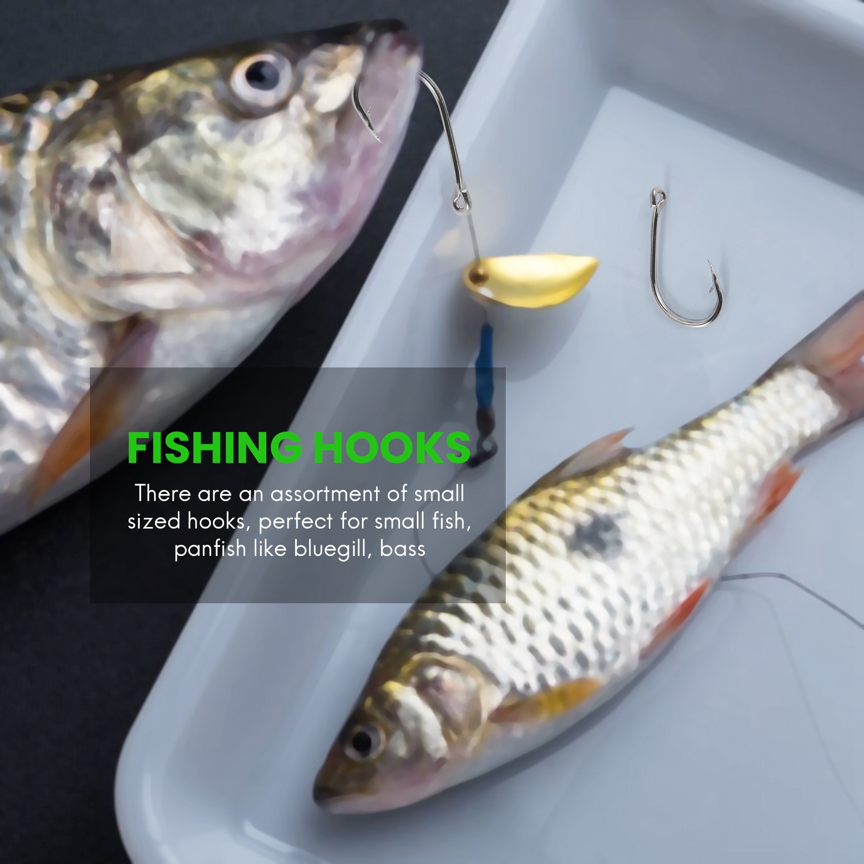 وصول جديد 500 قطعة/مجموعة بأحج - مراجعة Fishing Hook وسعره